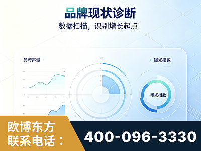 肥城-品牌现状诊断