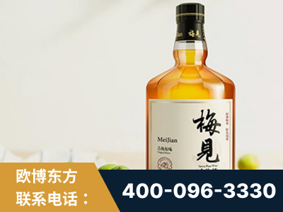 肥城-梅见青梅酒
